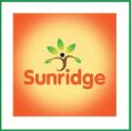 sunridge